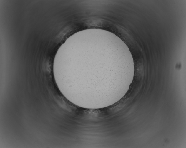 X0000089420282200707131829