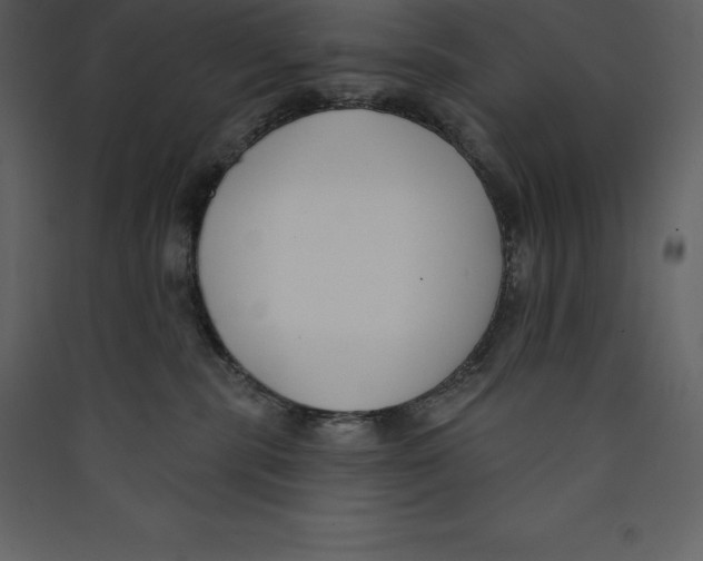 X0000089420283200707131829