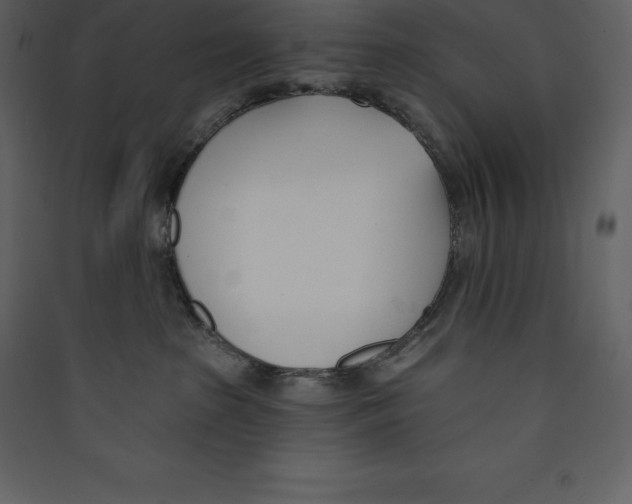 X0000089420285200707131829