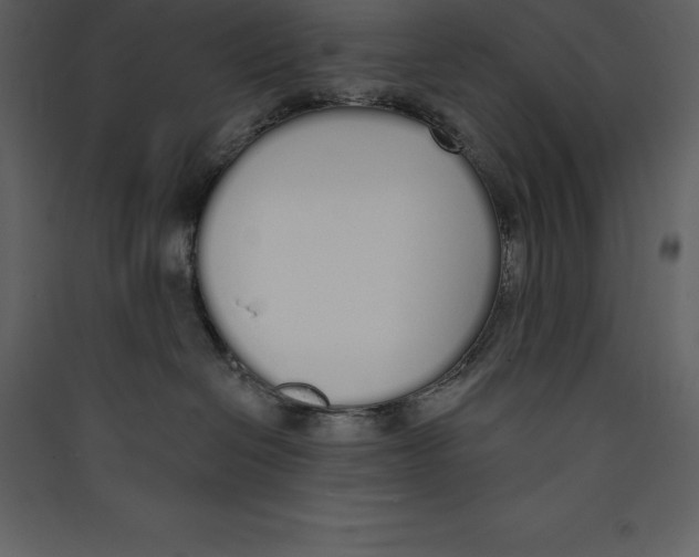 X0000089420286200707131829
