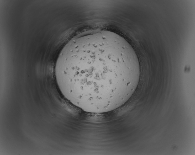 X0000089420288200707131829