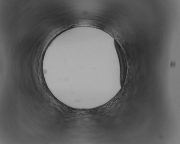 X0000089420289200707131828