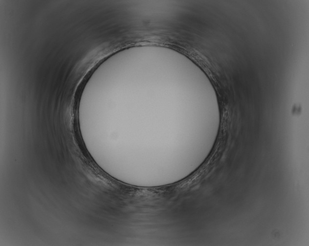 X0000089420290200707131828