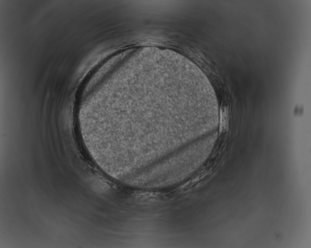 X0000089420291200707131828