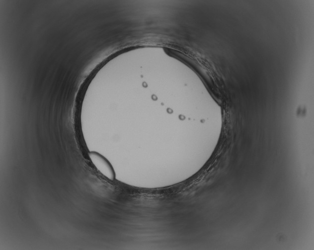 X0000089420292200707131828