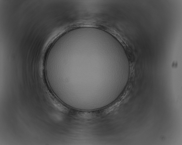 X0000089420293200707131828