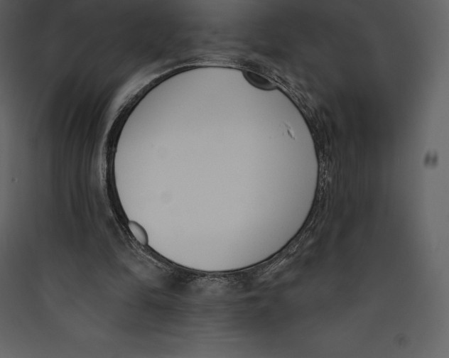 X0000089420294200707131828