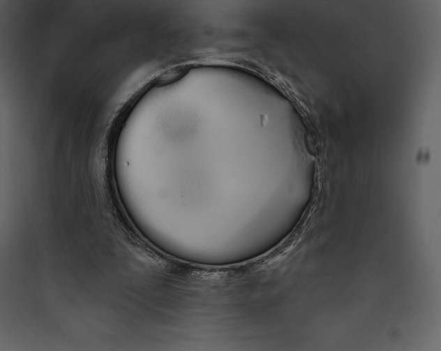 X0000089420295200707131828