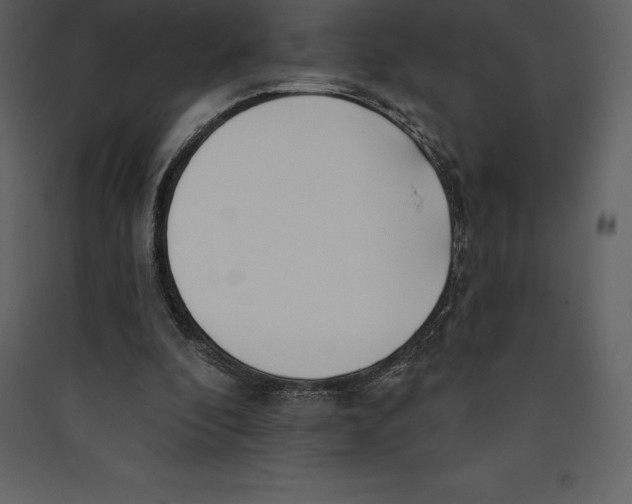 X0000089420296200707131828