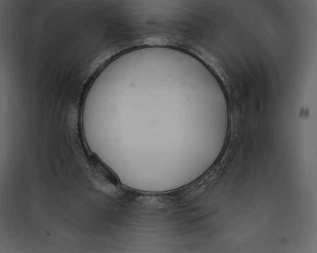 X0000089420297200707131828