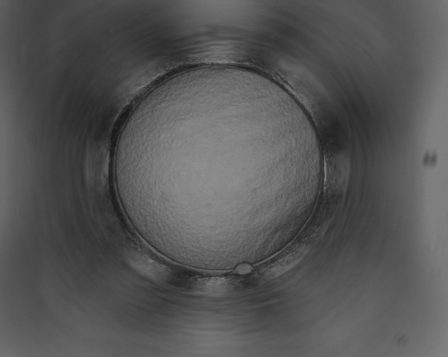 X0000089420301200707131828