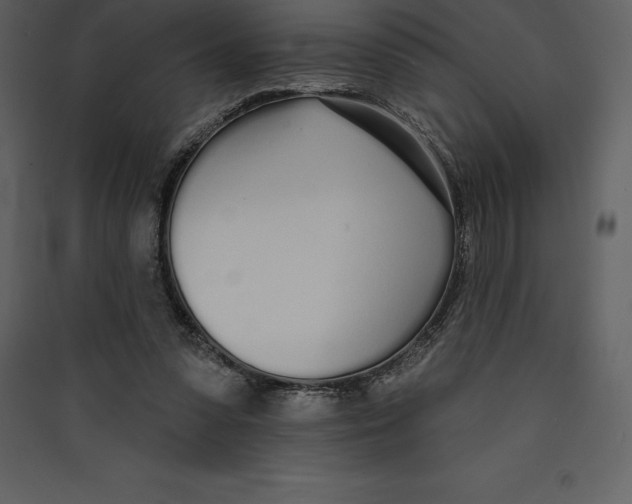 X0000089420303200707131828
