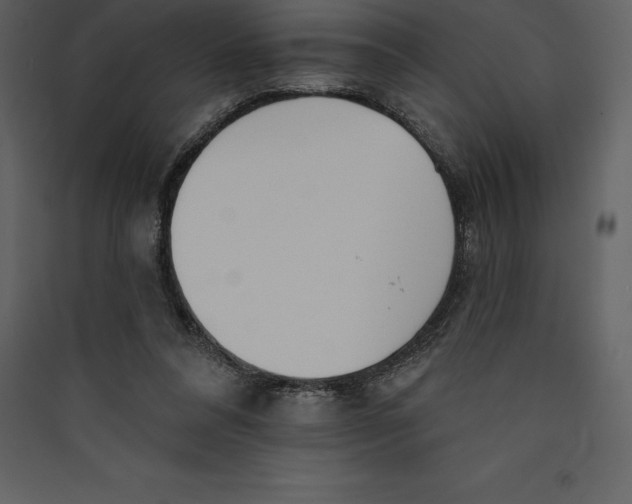 X0000089420304200707131828
