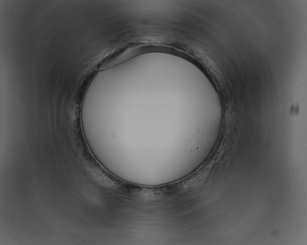 X0000089420305200707131828