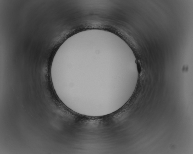 X0000089420306200707131828