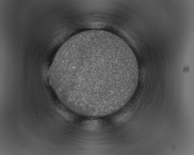 X0000089420307200707131828