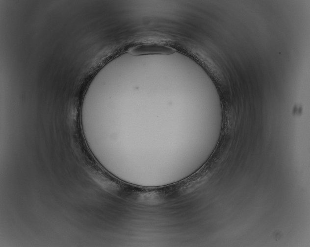 X0000089420309200707131828