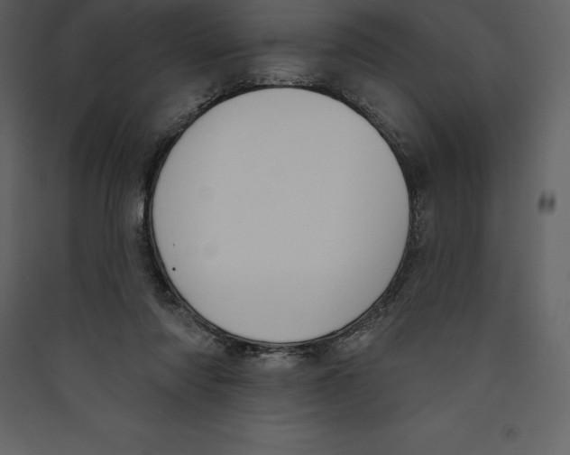 X0000089420310200707131828