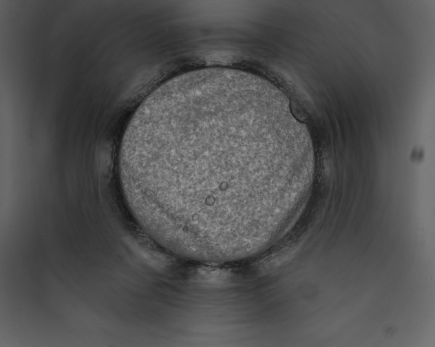 X0000089420311200707131828