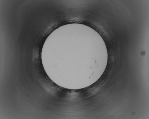 X0000089420312200707131828