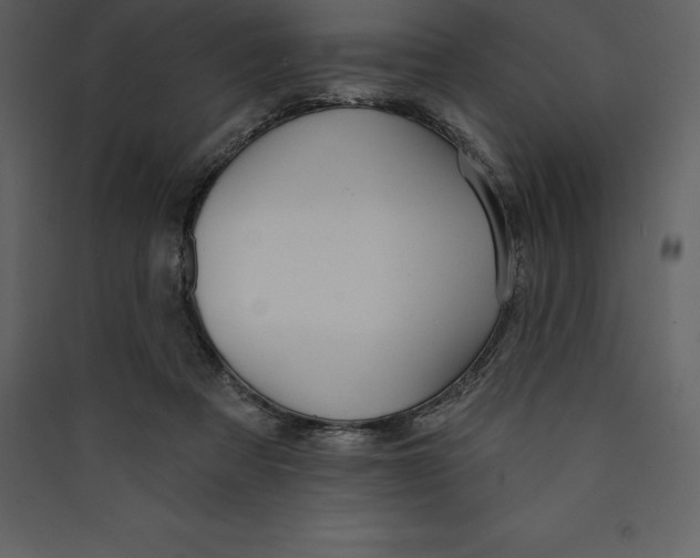 X0000089420313200707131828