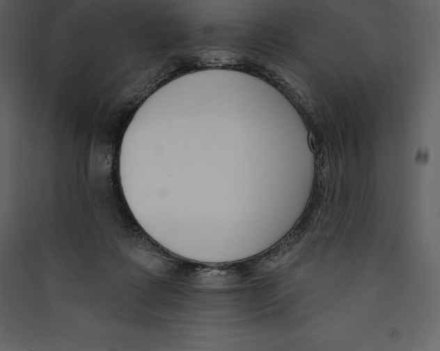 X0000089420315200707131828