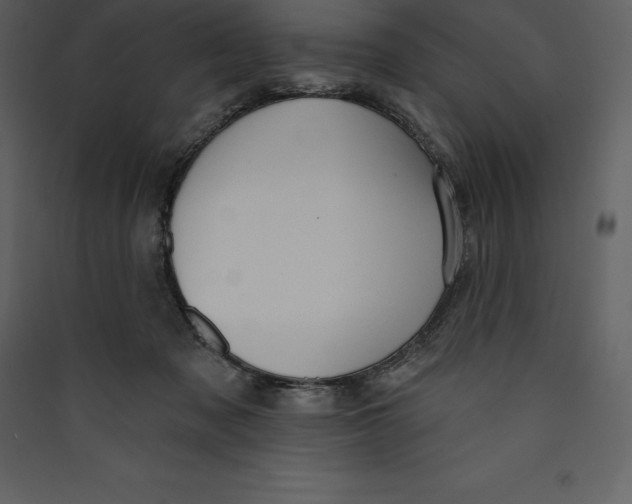 X0000089420317200707131828