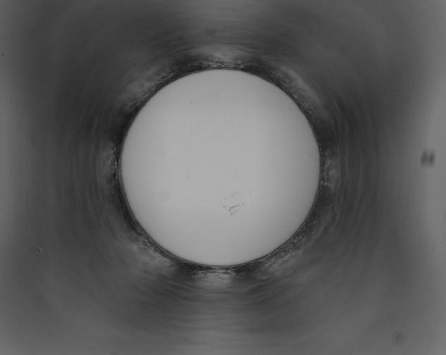 X0000089420318200707131828