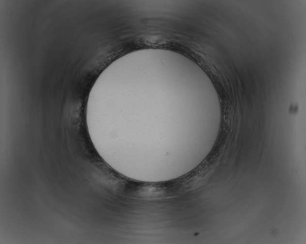 X0000089420319200707131828