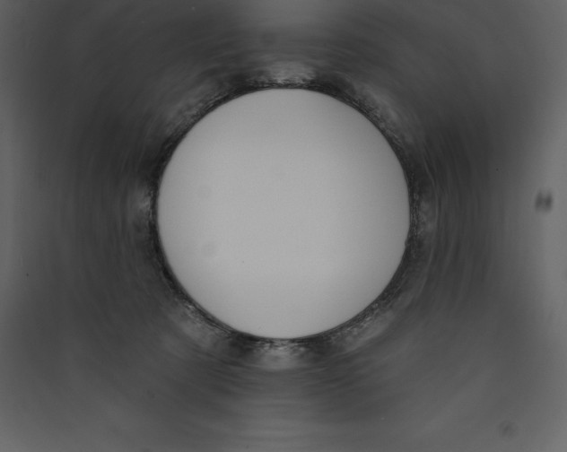 X0000089420321200707131828