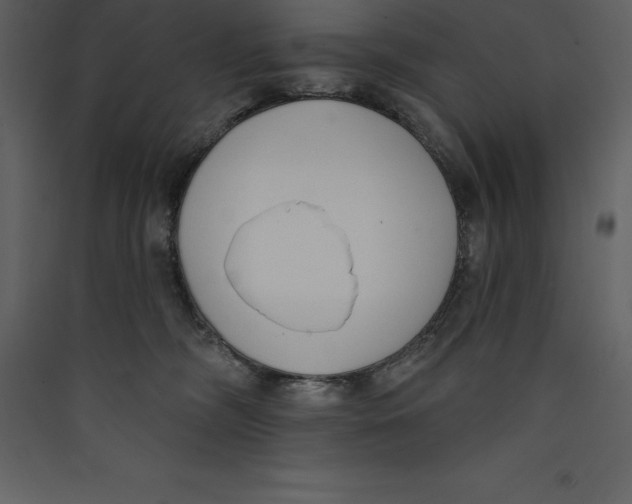 X0000089420326200707131828
