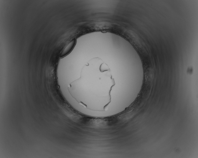 X0000089420327200707131828