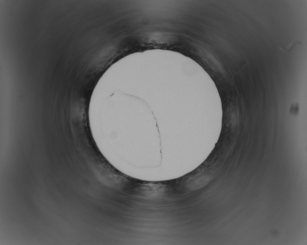 X0000089420328200707131828
