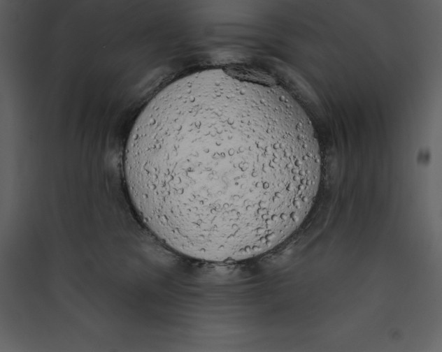 X0000089420329200707131827