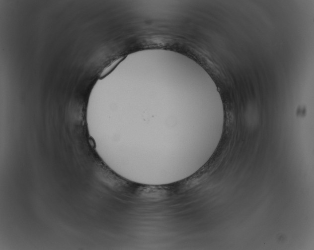 X0000089420331200707131827