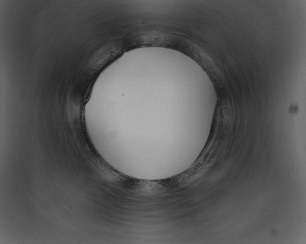 X0000089420333200707131827