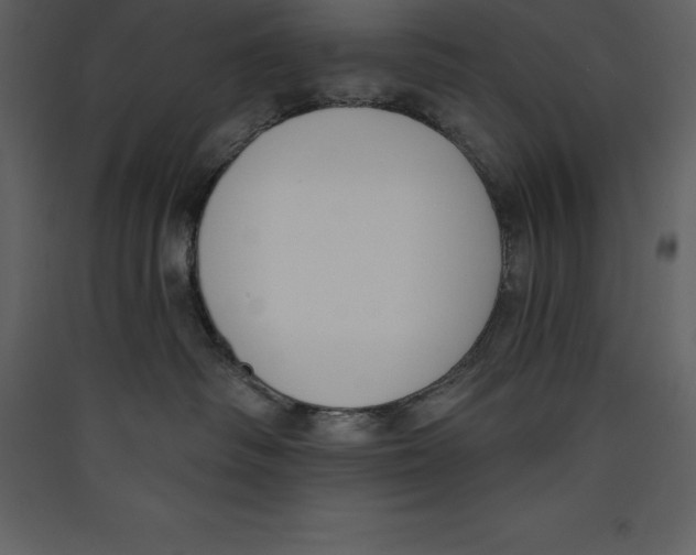X0000089420334200707131827