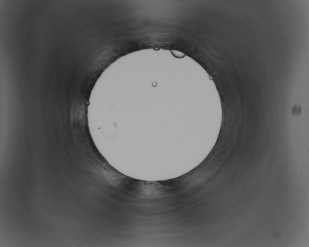X0000089420336200707131827