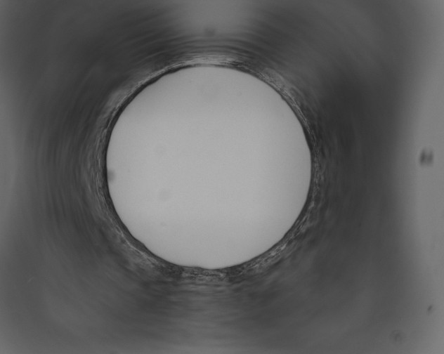 X0000089420337200707131827