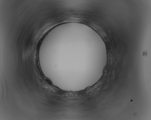 X0000089420338200707131827