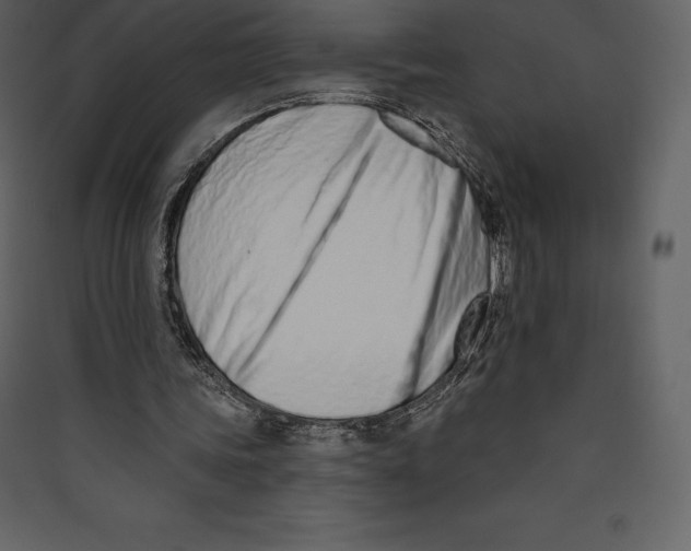 X0000089420339200707131827