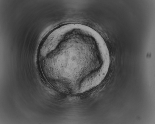 X0000089420340200707131827