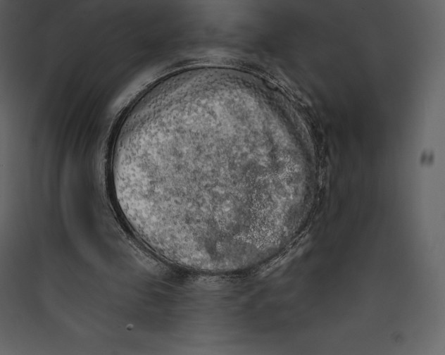 X0000089420341200707131827