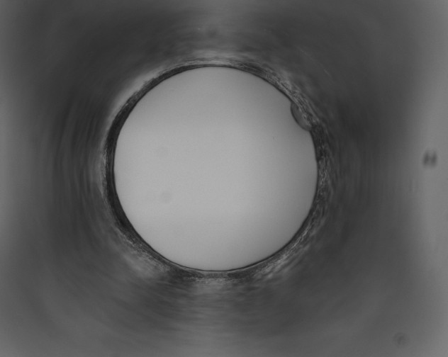 X0000089420342200707131827