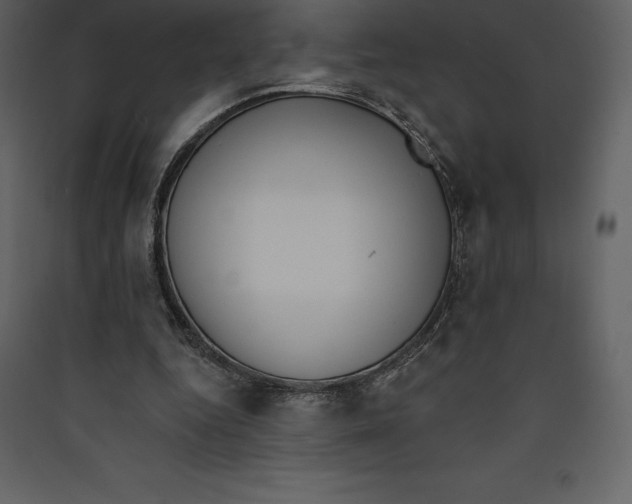 X0000089420344200707131827