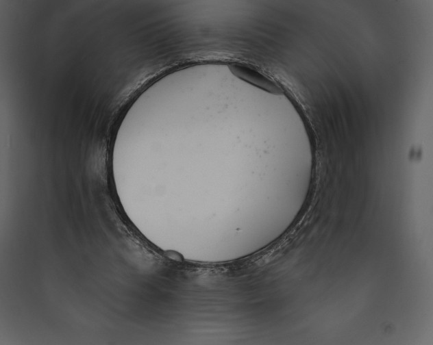 X0000089420345200707131827