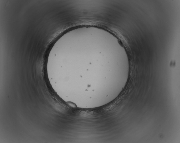 X0000089420346200707131827