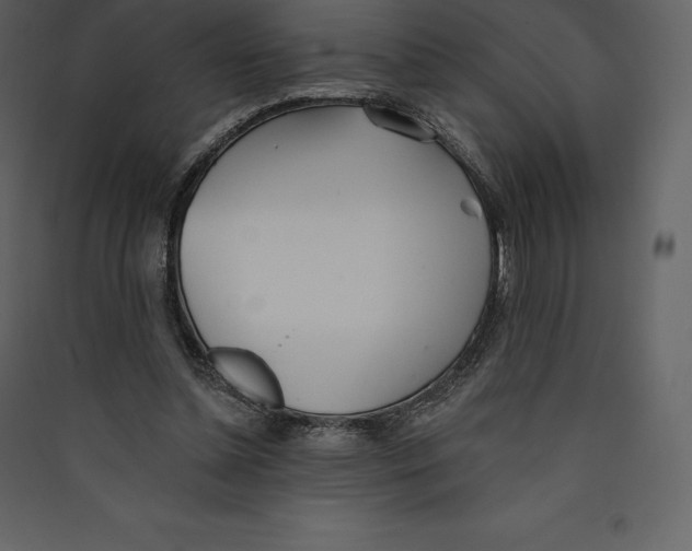 X0000089420348200707131827
