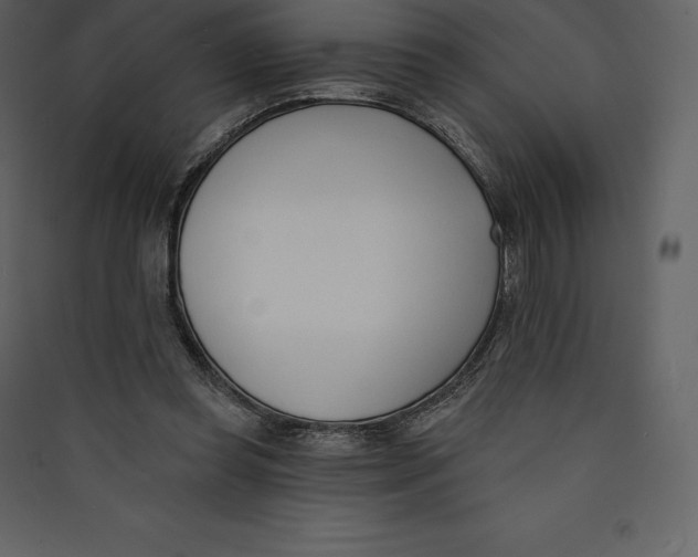 X0000089420349200707131827