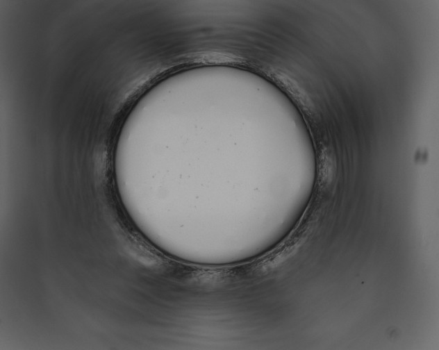 X0000089420351200707131827